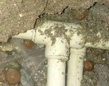 大洼测漏水多少钱