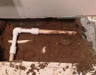 大洼测漏水哪家好