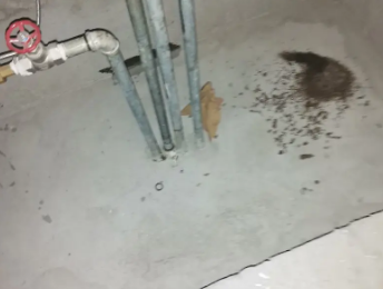 大洼卫生间测漏水价格明细