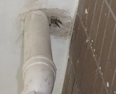 大洼漏水检测哪家好